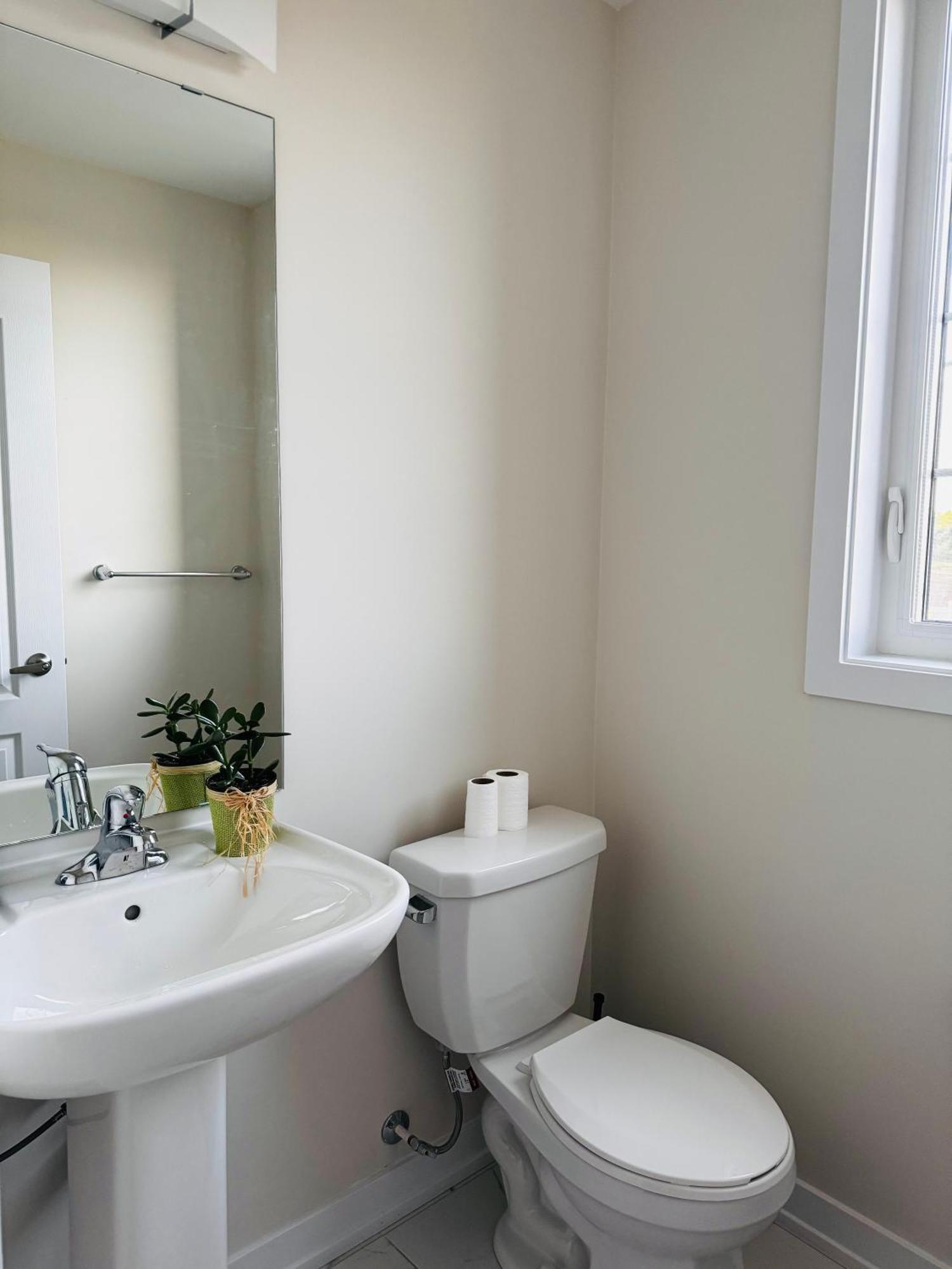 Have Whole House To Yourself Thorold Ngoại thất bức ảnh