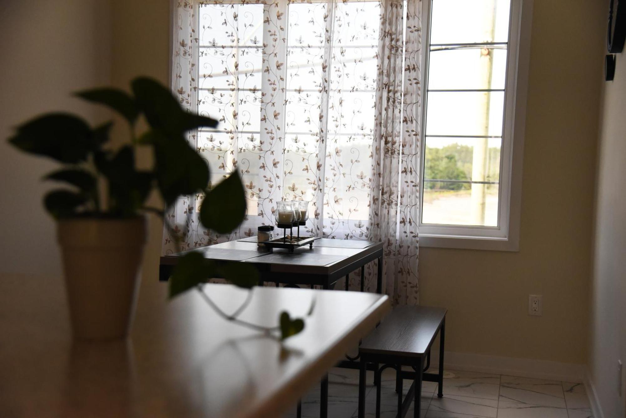Have Whole House To Yourself Thorold Ngoại thất bức ảnh