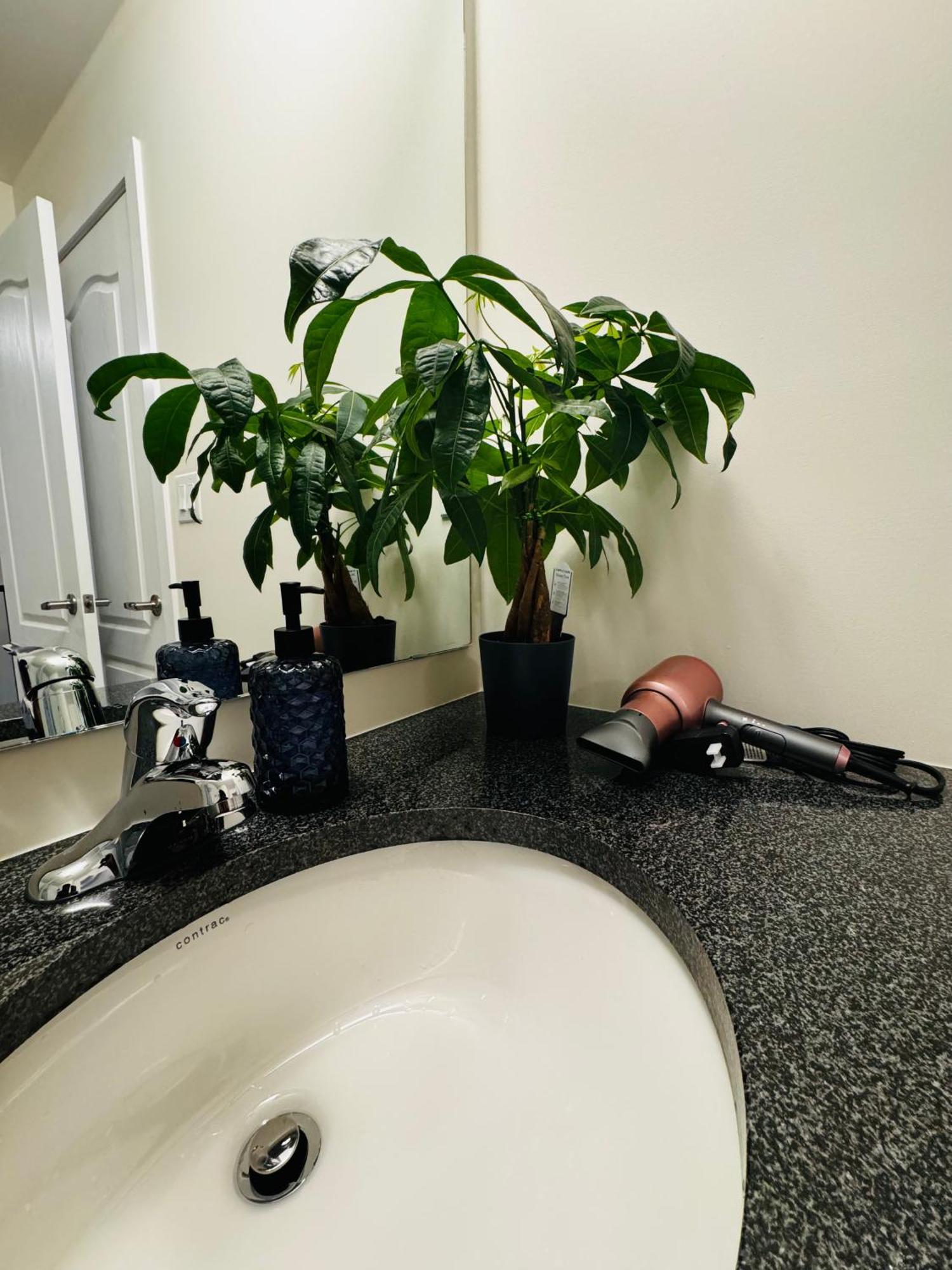 Have Whole House To Yourself Thorold Ngoại thất bức ảnh