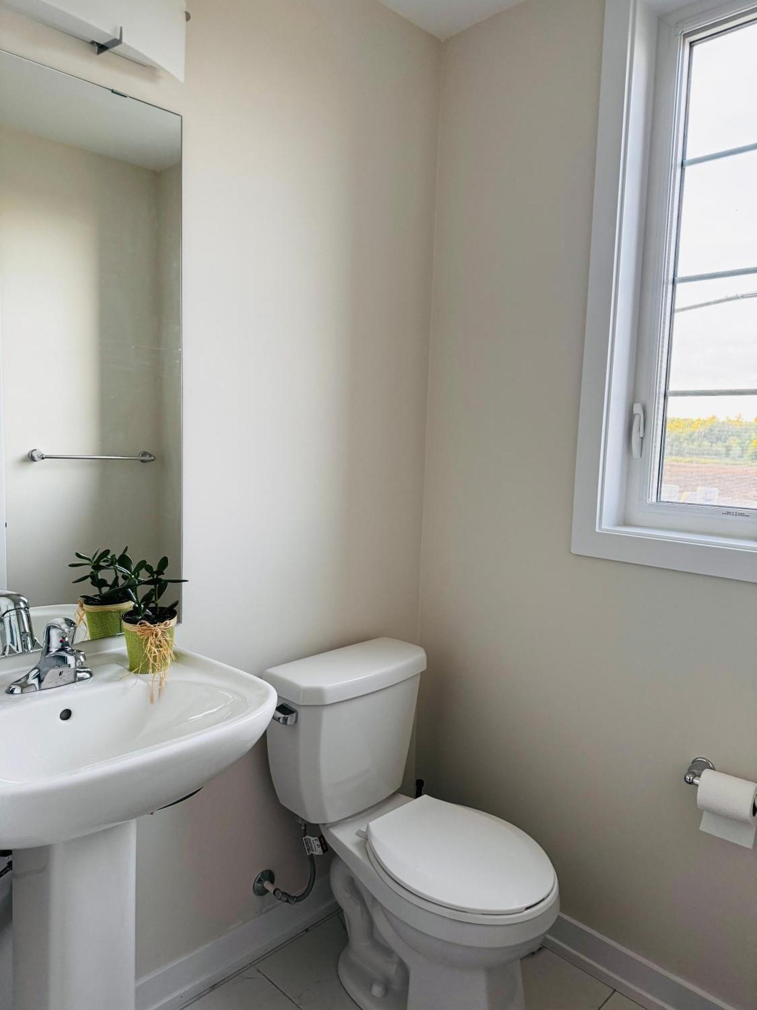Have Whole House To Yourself Thorold Ngoại thất bức ảnh